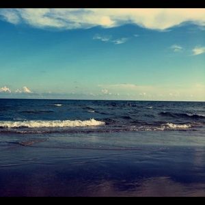 Meet your Posher, Carolina